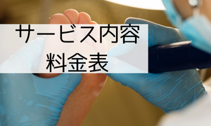 施術内容　価格表